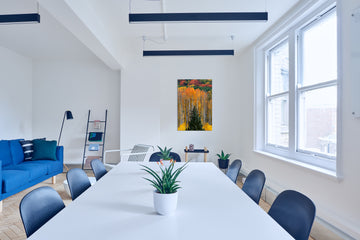 Expressions of Autumn